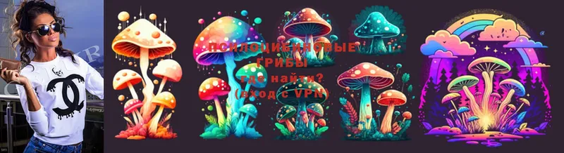 Галлюциногенные грибы Psilocybe  купить наркотик  Амурск 